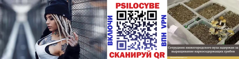 Псилоцибиновые грибы прущие грибы  omg онион  Северобайкальск  где купить наркоту 