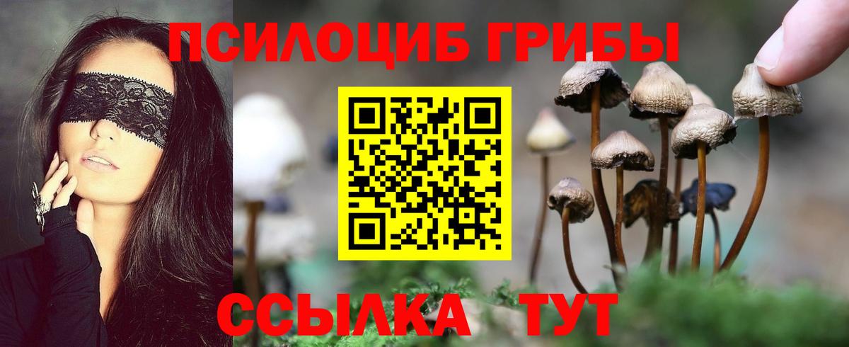 Псилоцибиновые грибы мухоморы  Вход с VPN  Северобайкальск 