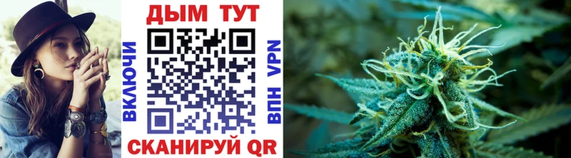 Канабис OG Kush  купить   Северобайкальск 